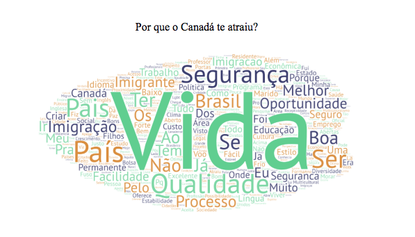 Relatório de Pesquisa: Perfil dos Brasileiros no Canadá, 2019.